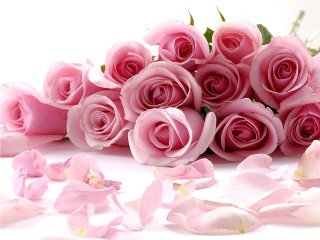  Розы: выбираем и ухаживаем за королевой цветов