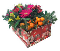 Новогодний презент