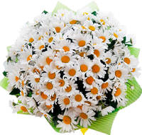 Букет "Ромашковое лето"