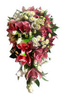 Елена Прекрасная (вар.2)