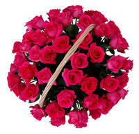 Корзина 55 розовых роз