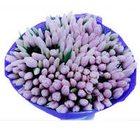 Букет из 101 тюльпана