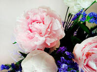 Букет из пионов "Розовое чудо"