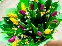 Букет из тюльпанов "Весенний привет"