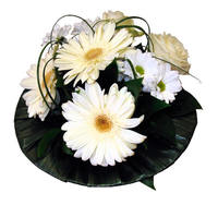 Юная волшебница