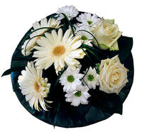 Юная волшебница