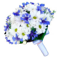 "Синеглазка"