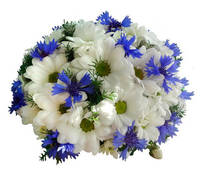 "Синеглазка"