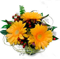 Букет из гербер "Солнечный зайчик" 