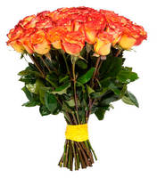 Розы "High Magic" (Хай Мэйджик)