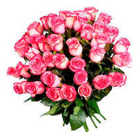 Розы "Карусель"