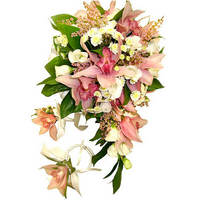 Елена Прекрасная