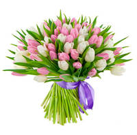 Тюльпаны (микс)