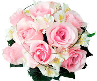 "Светлые чувства"