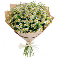 Букет из ромашек "Летний день"