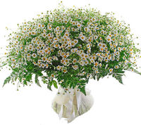 Букет из ромашек "Счастье моё"