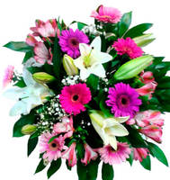 Летние брызги