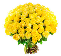 Желтые розы